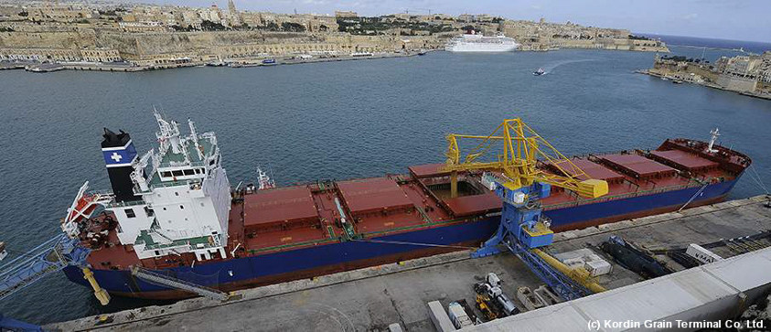 Beim Entladen der MV Androusa kann Förderrüssel tief in die Kammern eintauchen